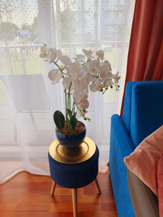 Apartament Comfort I Kołobrzeg Exterior foto